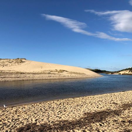 Chaleureux Appartement A 500M De L'Ocean Et 150M Du Golf Moliets-Plage Εξωτερικό φωτογραφία